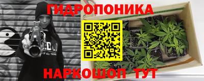 молекула духа Комсомольск-на-Амуре