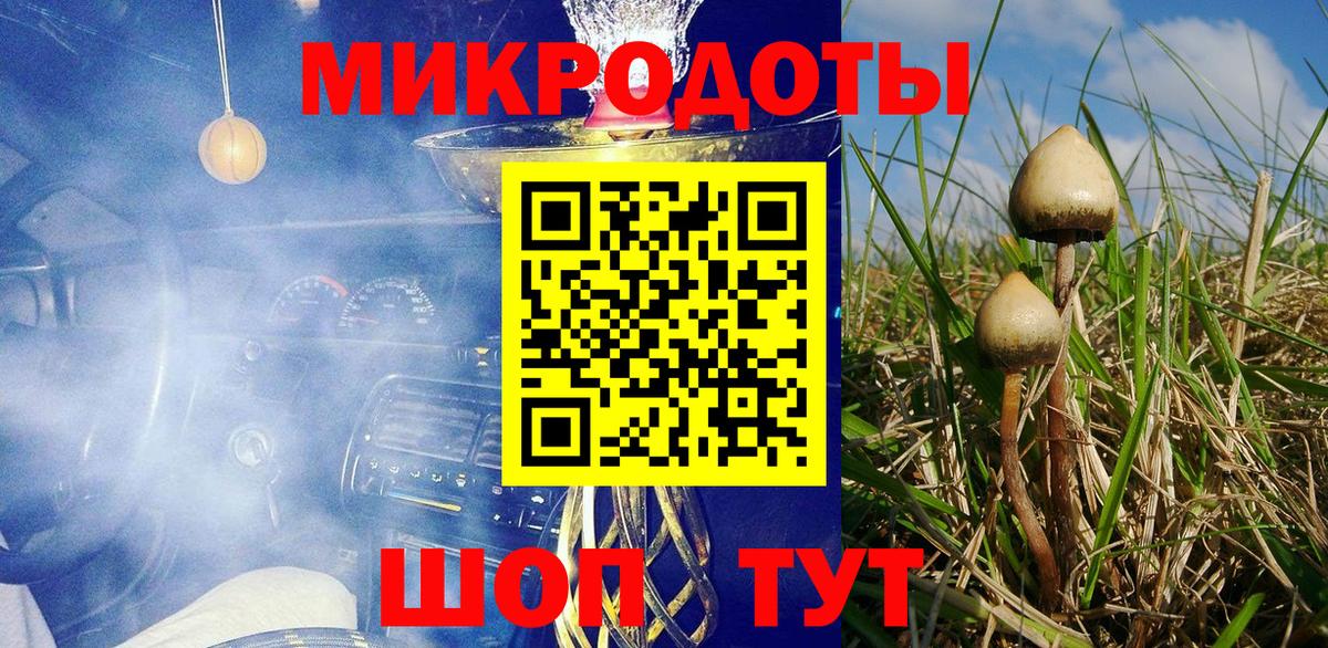 Псилоцибиновые грибы Psilocybe  Псилоцибиновые грибы прущие грибы  Вход с VPN  Каспийск 